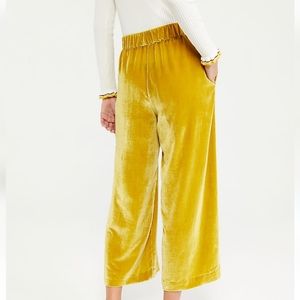 Anne Taylor The Velvet Pull On Pants Mustard Yellow Gold